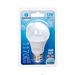 LAMPADINA LED A60 E27 12W - LUCE FREDDA - 1170LMAigostar