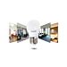 MINI GLOBO LED G45 E27 7W - LUCE FREDDA 620LM - 2PZAigostar
