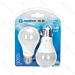 LAMPADINA LED A60 E27 11W - LUCE FREDDA 1060LM - 2PZAigostar