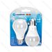 LAMPADINA LED A60 E27 12W - LUCE FREDDA 1170LM - 2PZAigostar