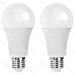 LAMPADINA LED A60 E27 15W - LUCE FREDDA 1500LM - 2PZAigostar