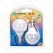 MINI GLOBO LED G45 E14 3W - LUCE CALDA 255LM - 2PZAigostar