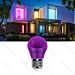 LAMPADINA LED G45 E27 4W - LUCE VIOLAAigostar