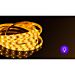 STRISCIA LED CON TELECOMANDO - LUCE CALDA - 5MAigostar