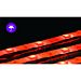 STRISCIA LED CON TELECOMANDO - LUCE RGB - 5MAigostar