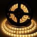 STRISCIA LED - LUCE CALDA - 5MAigostar