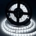 STRISCIA LED - LUCE FREDDA - 5MAigostar