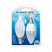 LAMPADINA LED C37 E14 4.9W - LUCE FREDDA 420LM - 2PZAigostar