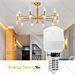 LAMPADINA LED PER FRIGORIFERO - LUCE CALDA - E14 2,5WAigostar