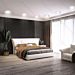 DOWNLIGHT LED ORIENTABILE 5W - LUCE FREDDA 6500KAigostar