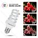 LAMPADINA LED A SPIRALE E27 9W - LUCE FREDDA - 840LMAigostar