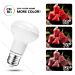 LAMPADINA LED R80 E27 12W - LUCE CALDA - 1170LMAigostar