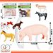 OUSDY ANIMALE DA FATTORIA MISTI 3PZOusdy