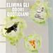 AMBIPUR KIT DIFFUSORE 3VOLUTION - ORO & VANIGLIAAmbipur