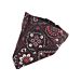BANDANA TRIANGOLARE PER CANINobleza