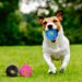 PALLINA RIGIDA SONORA - GIOCO PER CANINobleza