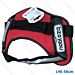 PETTORINA NORVEGESE - IMBOTTITA - 46/58CM - SNobleza