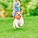 PALLINE SPORTIVE - GIOCO PER CANINobleza
