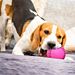 PALLINE SPORTIVE - GIOCO PER CANINobleza