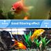 FILTRO PER ACQUARIO - 8WNobleza