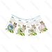 COLLARE ANTIPARASSITARIO PER GATTI - SNobleza