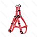 PETTORINA AD Y - CATARIFRANGENTE - 30/50CM - SNobleza
