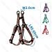 PETTORINA AD Y - CATARIFRANGENTE - 40/60CM - MNobleza