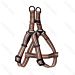 PETTORINA AD Y - CATARIFRANGENTE - 40/60CM - MNobleza