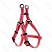 PETTORINA AD Y - CATARIFRANGENTE - 40/60CM - MNobleza