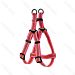PETTORINA AD Y - CATARIFRANGENTE - 50/70CM - LNobleza