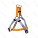 PETTORINA AD Y - BICOLORE - 50/70CM - XLNobleza