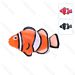 PESCE PAGLIACCIO FLUO PER ACQUARINobleza