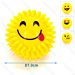 PALLINA EMOJI CON LUCI LED - GIOCO PER CANINobleza