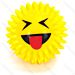 PALLINA EMOJI CON LUCI LED - GIOCO PER CANINobleza