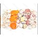 Conchiglie Decorative Miste - 4/8cmNobleza