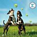 PALLINA DA TENNIS ALTA ELASTICITÀ PER CANI - 4,4CMNobleza