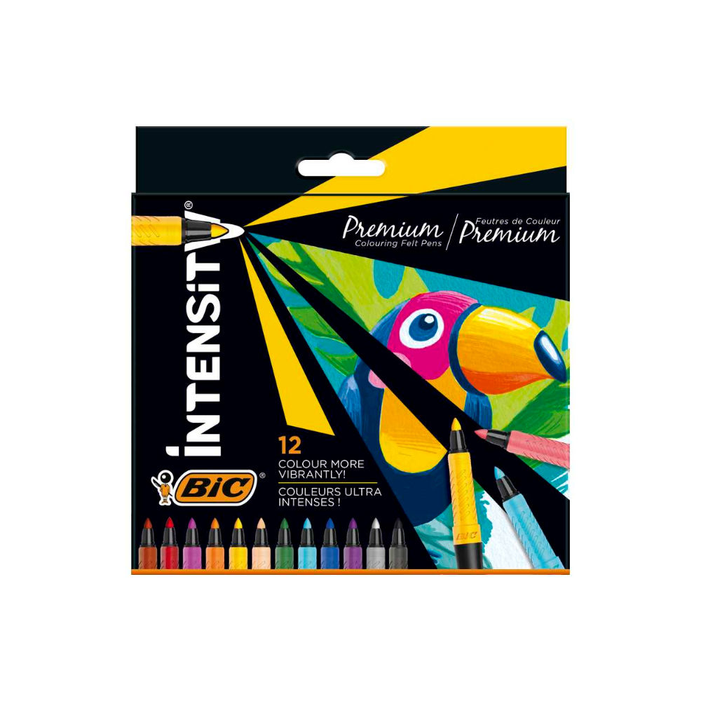 INTENSITY FP FINE PACK12 EUBic