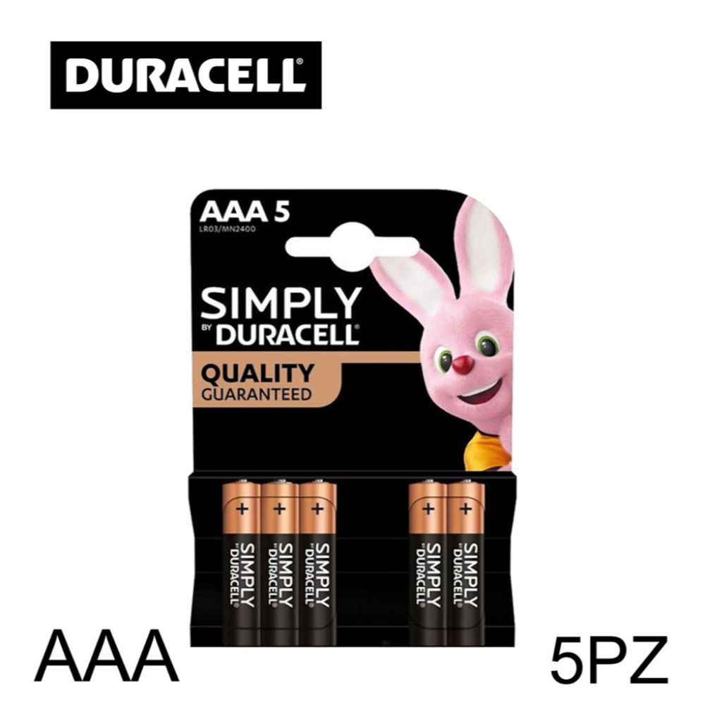 AAA SIMPLY DURACELL PILA BL5Duracell
