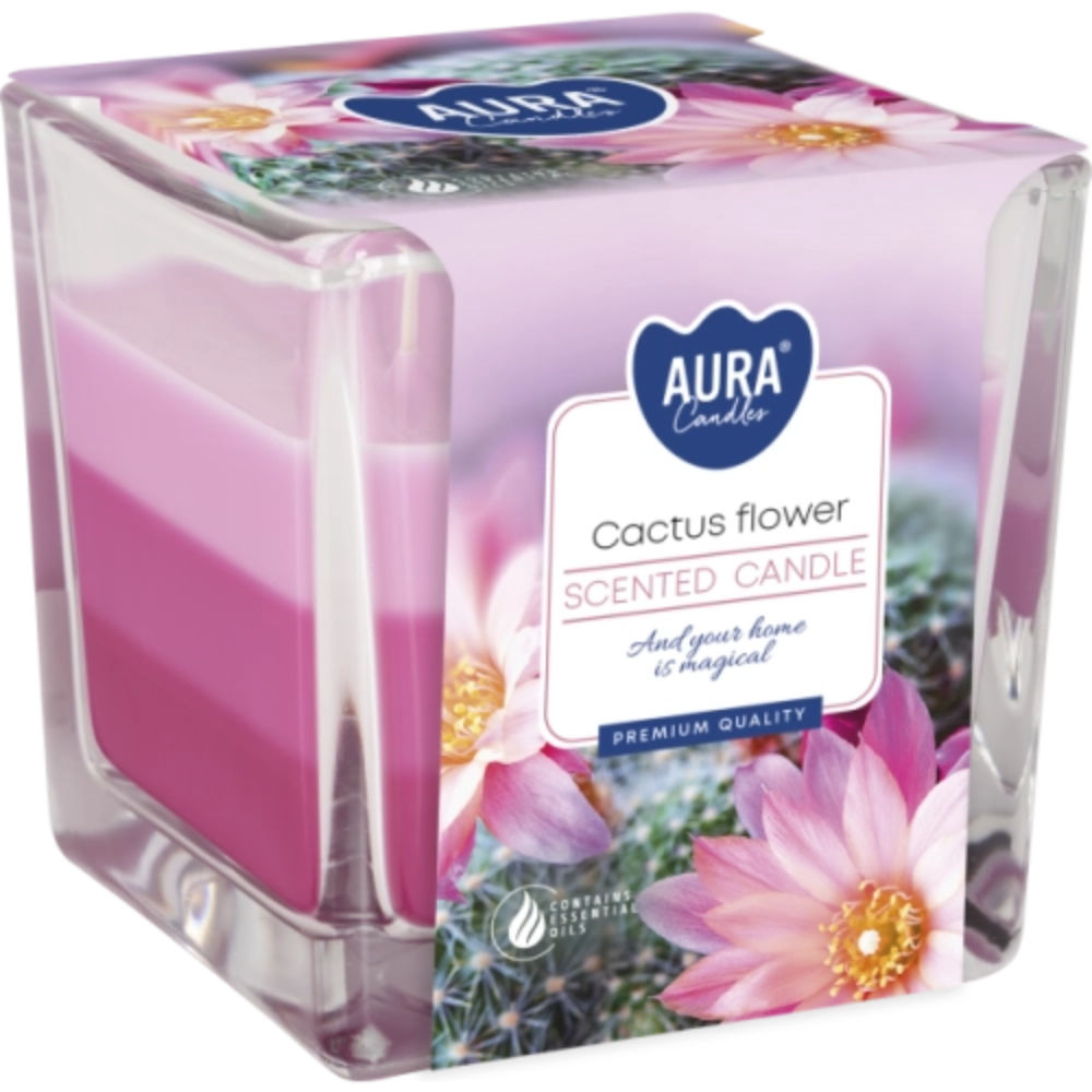 CANDELA TRICOLORE - FIORE DI CACTUS - 170GAura