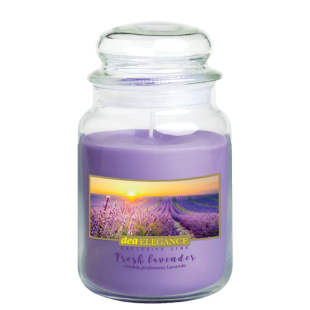 Candela Elegance 500g - Fresh LavenderDea