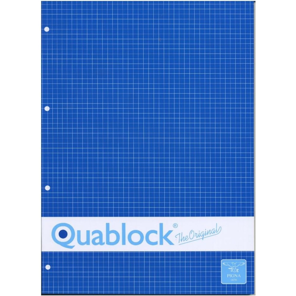 BLOCCO A4 QUABLOCK 4 FORI  QUADRETTI 5MMPigna