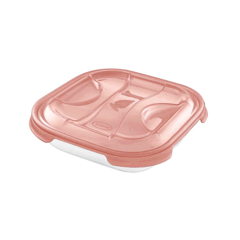 FRIGO BOX QUADRATO 0,5L NUVOLA   COR TRTontarelli