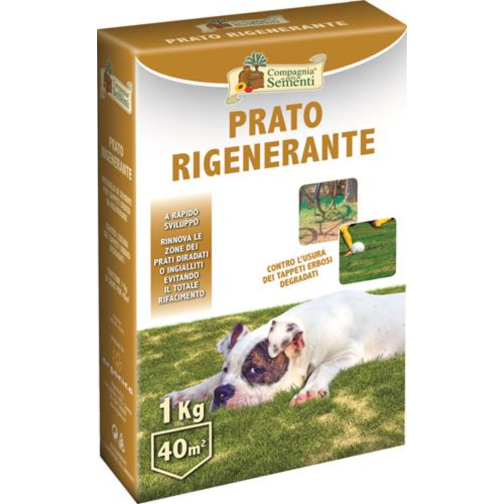CDS Prato Rigenerante - 1kgCompagnia Delle Sementi