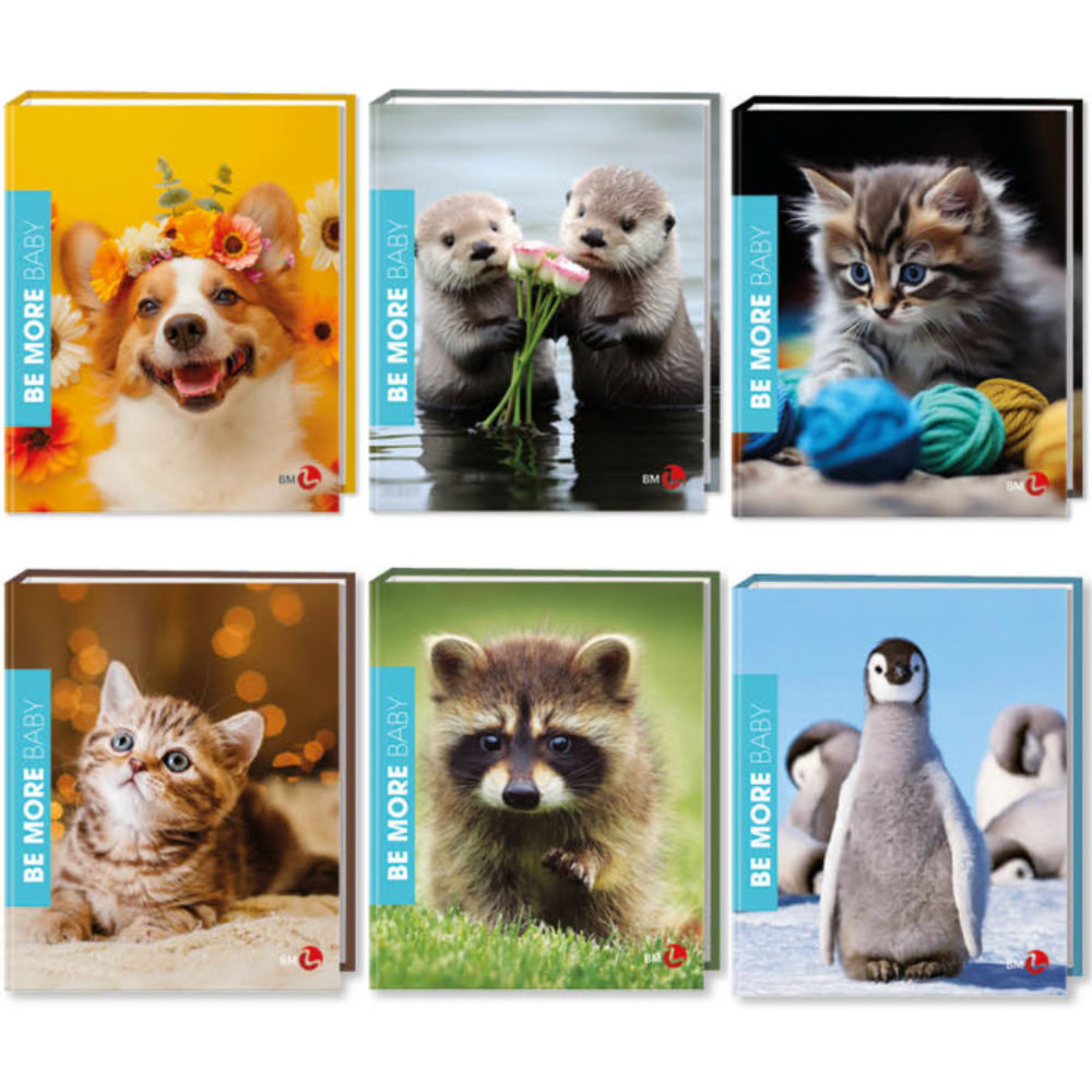 RACCOGLITORE 4 ANELLI A4 BE MORE BABYBm Be More