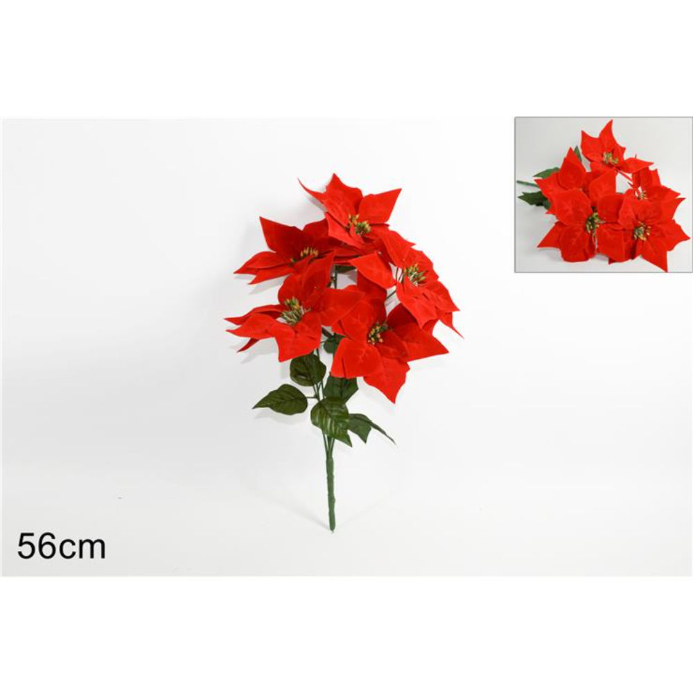 Mazzo 5 Fiori - Stella di Natale RossoDue Esse