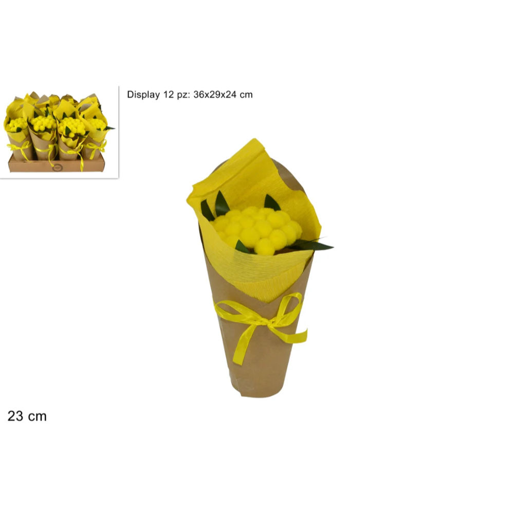 Piantina Mimosa Confezionata - 23cmDue Esse