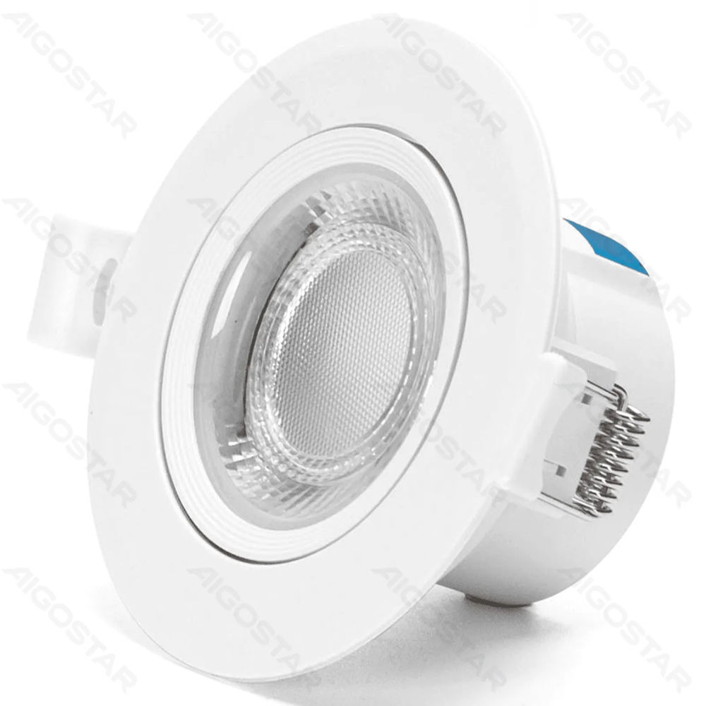 DOWNLIGHT LED ORIENTABILE 5W - LUCE FREDDA 6500KAigostar