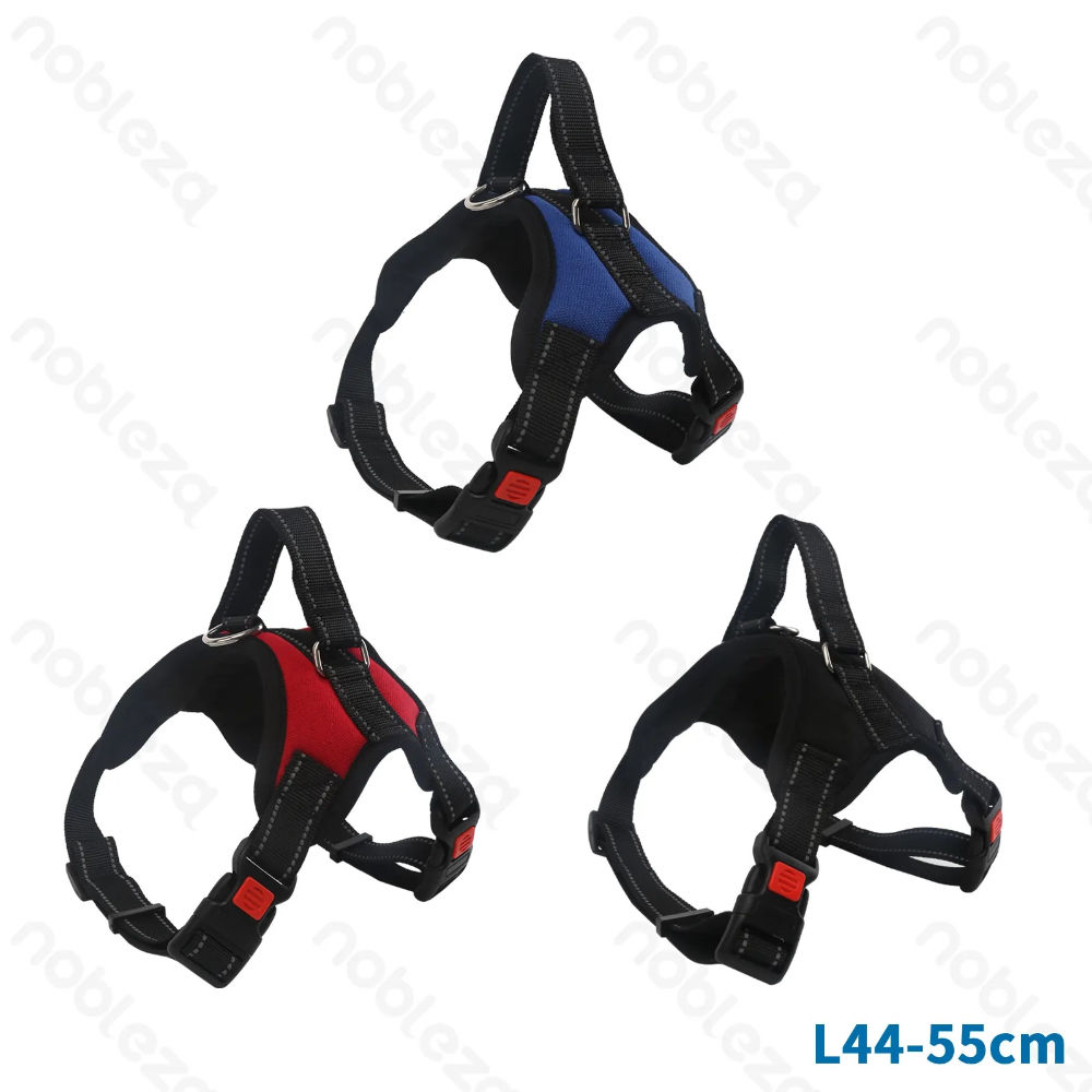 PETTORINA AD Y - DORSO IMBOTTITO - 44/55CM - SNobleza