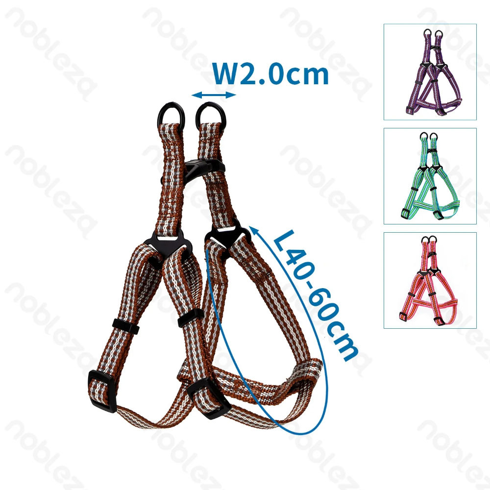 PETTORINA AD Y - CATARIFRANGENTE - 40/60CM - MNobleza